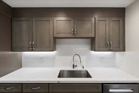 Mid-Century Modern Kitchen & Bathroom Remodel — photo 17
